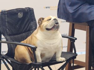 Justice: Babydog won't be visiting Senate floor